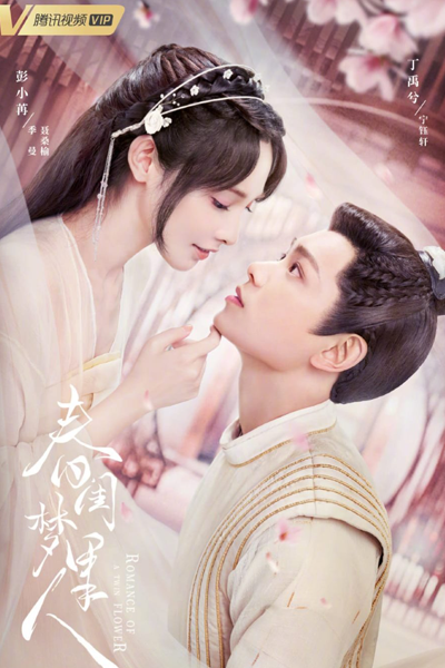Romance of a Twin Flower (2023) cover