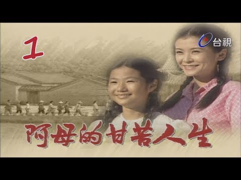 A Mu De Gan Ku Ren Sheng (2001) cover