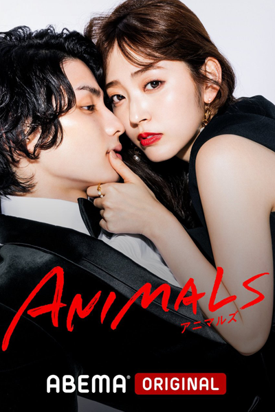 Animals (2022) cover