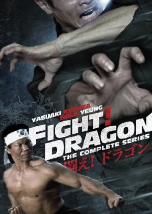 Fight! Dragon cover
