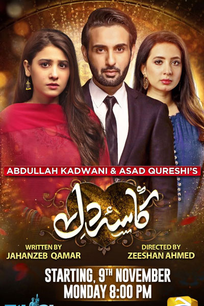 Kasa-e-Dil (2020) cover