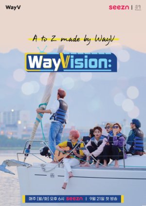 WayVision cover