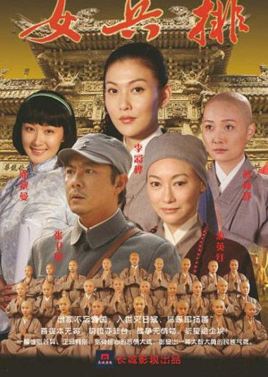 Wu Tai Shan Kang Ri Chuan Qi Zhi Nv Bing Pai (2013) cover