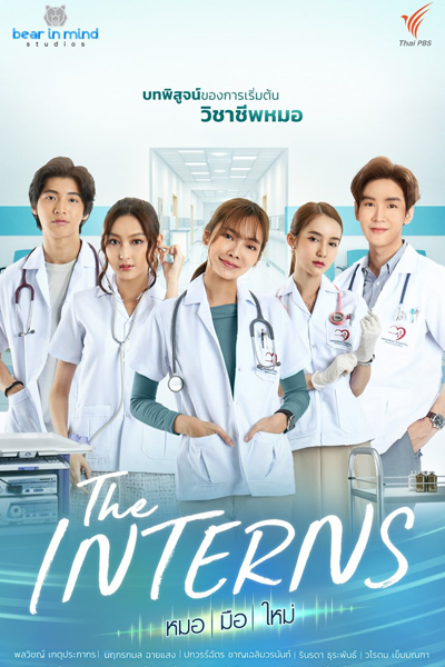 The Interns (2023) cover