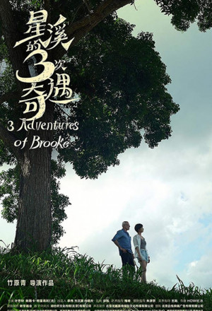 Three Adventures of Brooke cover